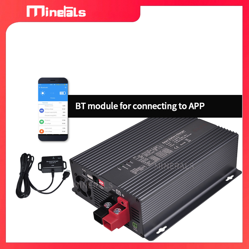 Smart Battery Charger AC to DC - Lithium Battery 12V 评论和价格